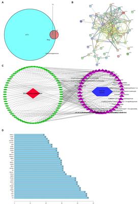 The therapeutic mechanism of Chebulae Fructus in the treatment of immunosuppression in Chinese yellow quail on the basis of network pharmacology